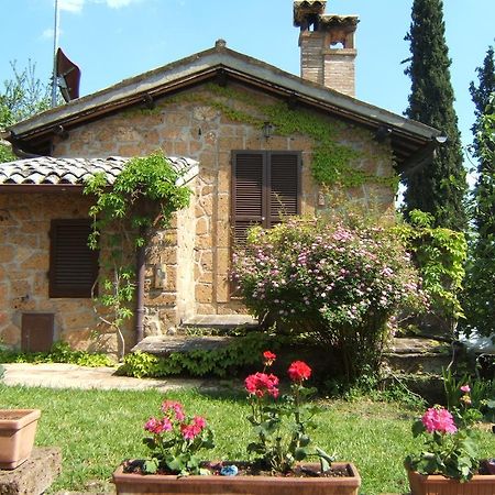 B&B Casaselita Orvieto Ngoại thất bức ảnh