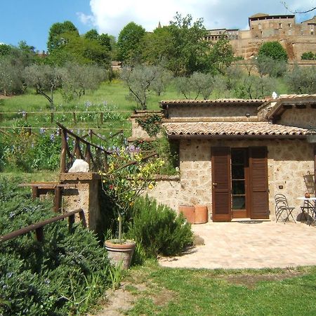 B&B Casaselita Orvieto Ngoại thất bức ảnh